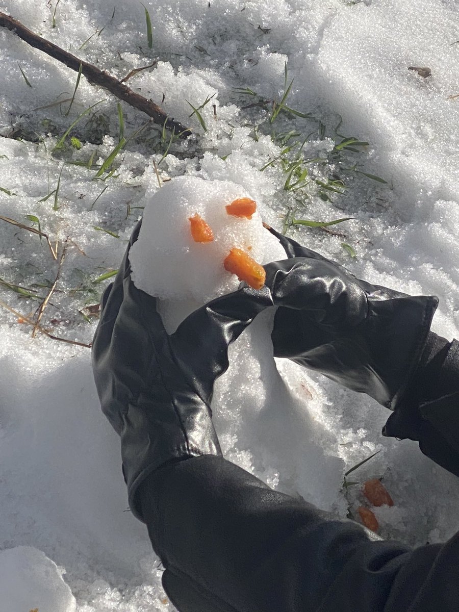 Julia 🌸🌸 tweet media