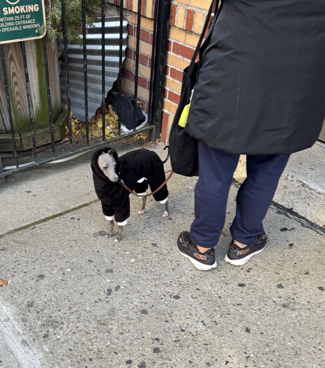 🩸🍊 tweet media