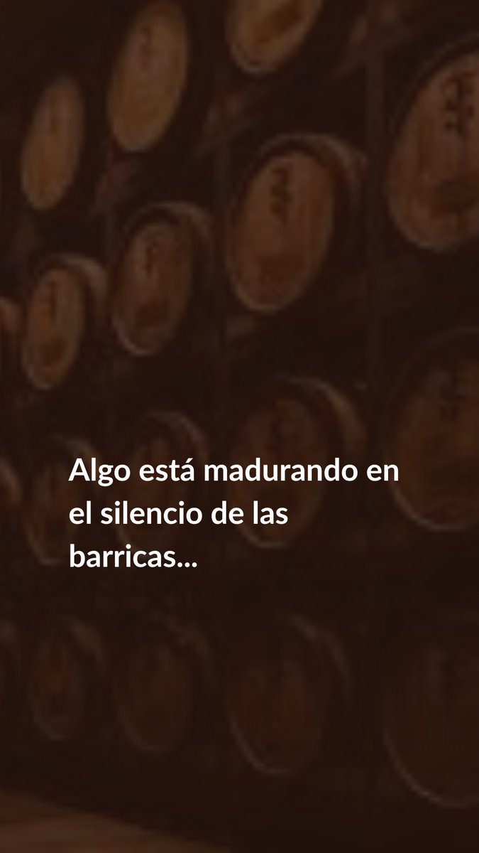 Pietro Carbone tweet media