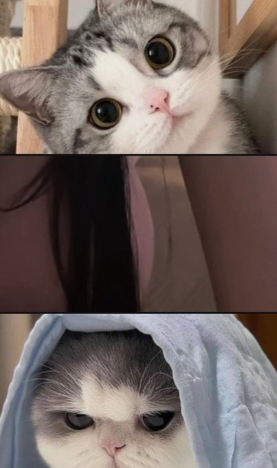 Laraaa 🖤 tweet media