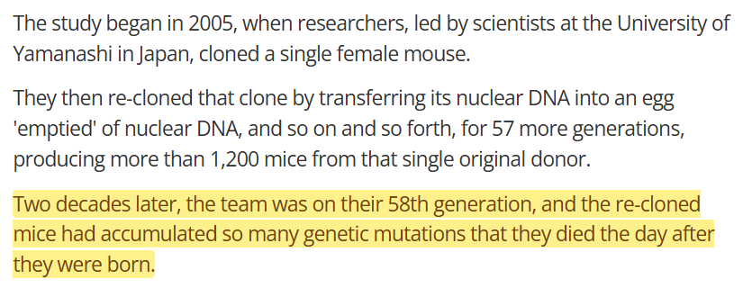 LiorLefineder tweet media