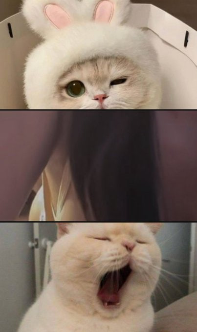 Laraaa 🖤 tweet media