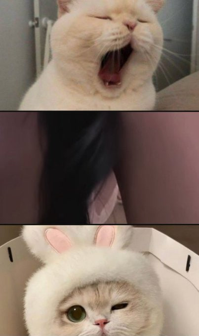 Laraaa 🖤 tweet media