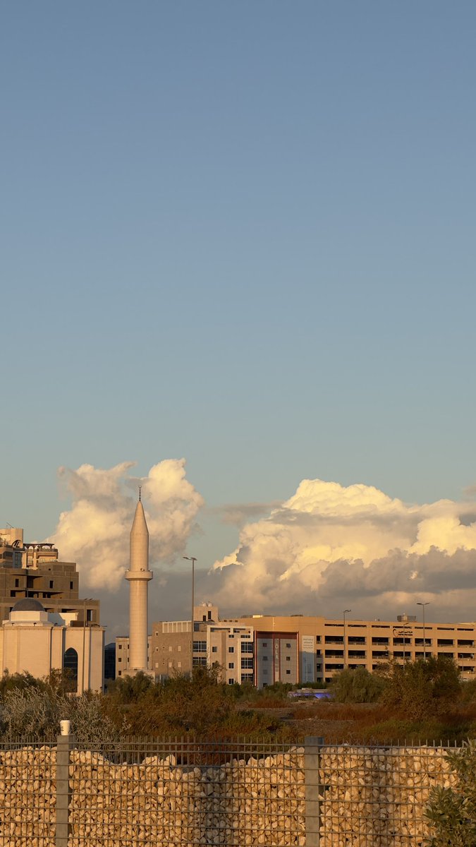 تركي tweet media