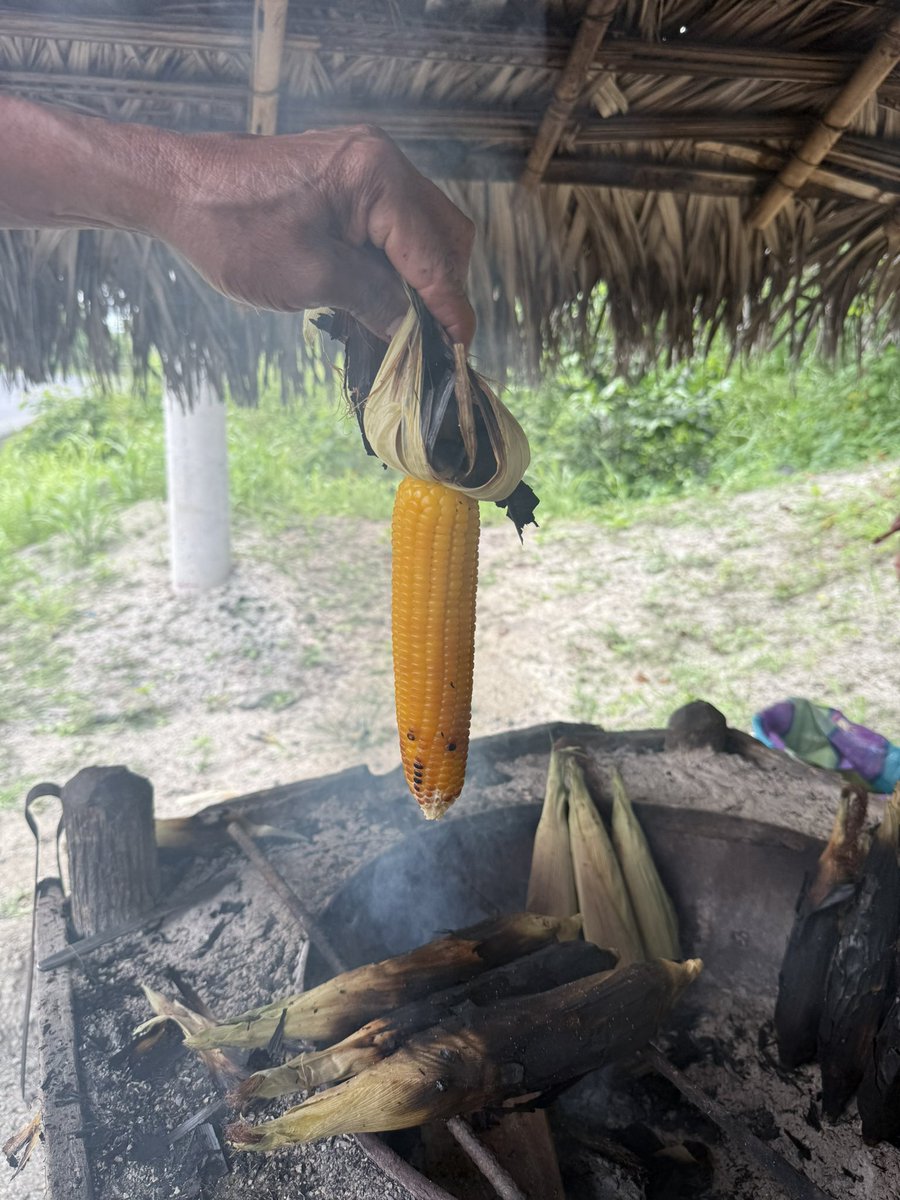 Lucho Bresciani tweet media