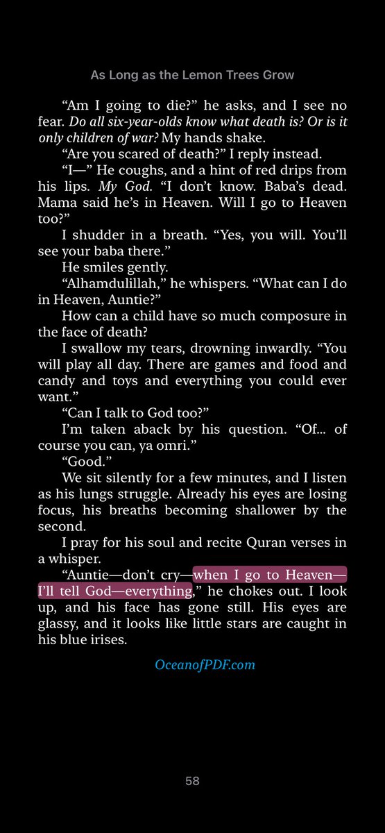 kit ⭐️___________⭐️ tweet media