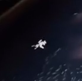 Fujistone✏️ tweet media