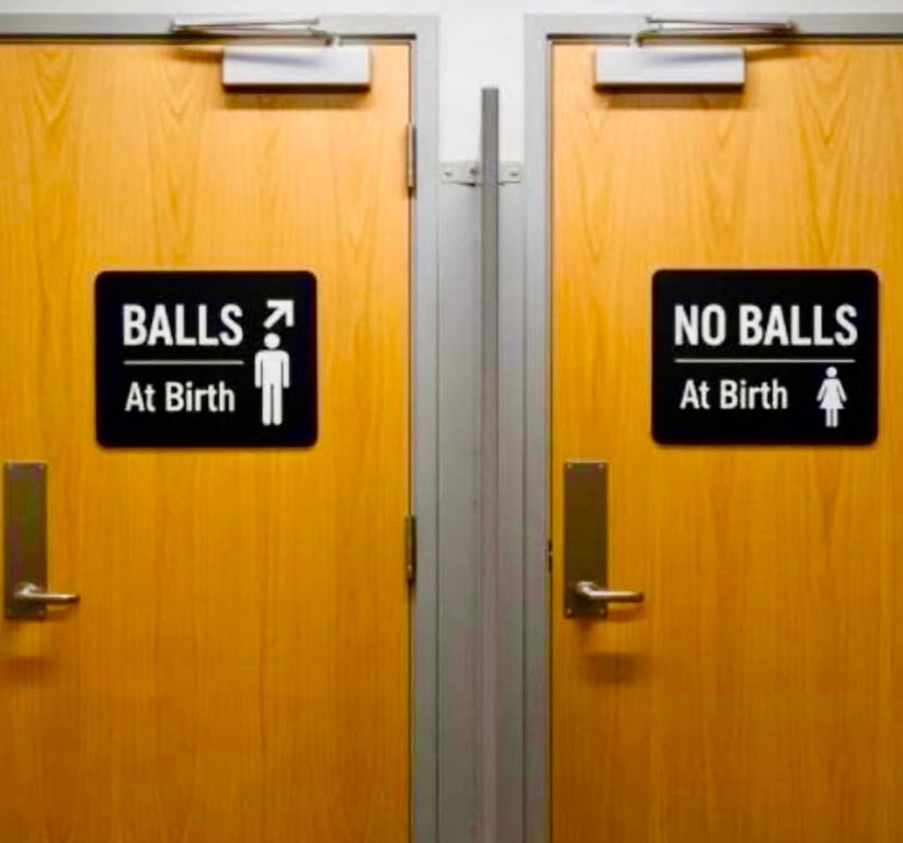 Donna OMeara tweet media