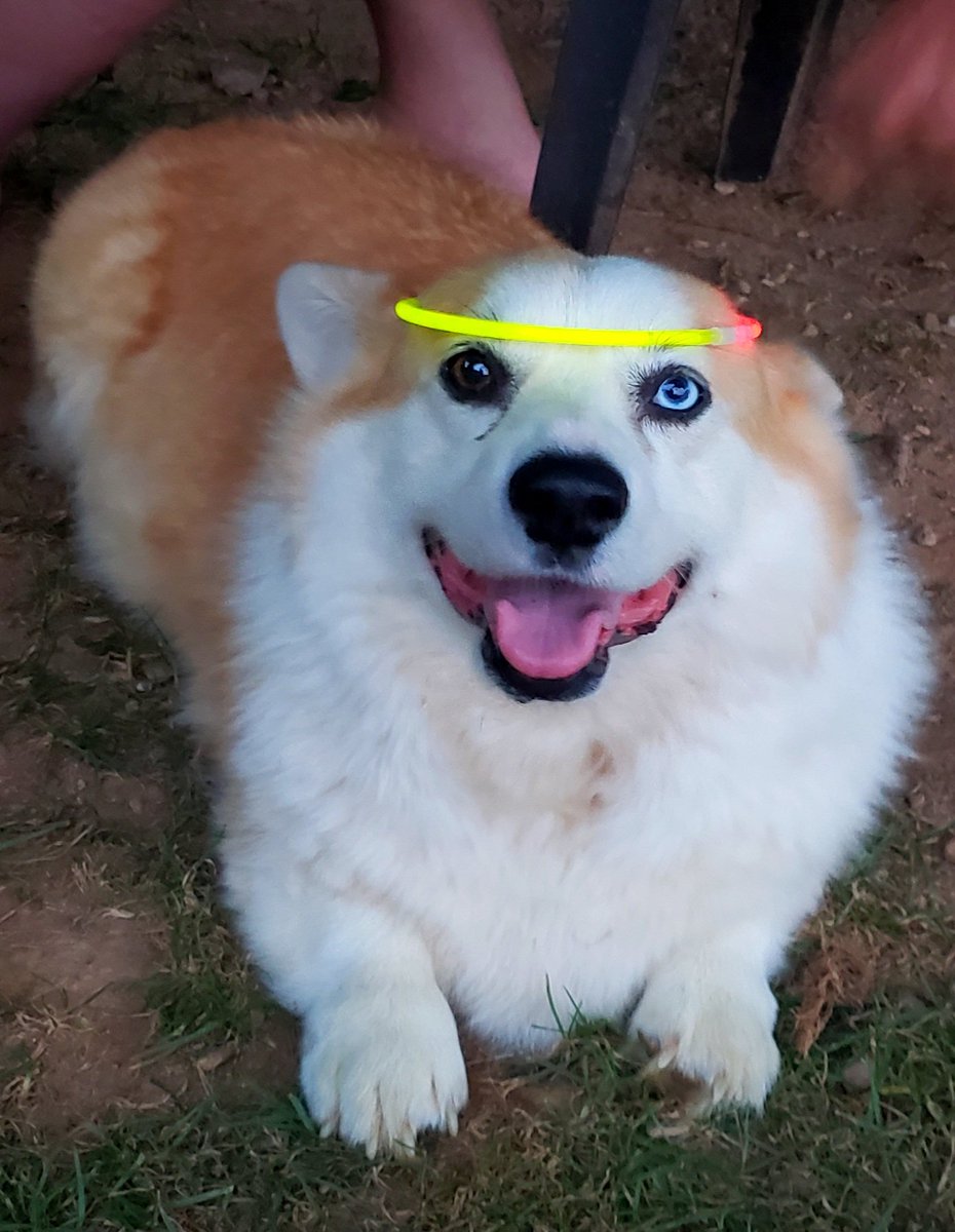 Suz Scraps ☮️ tweet media