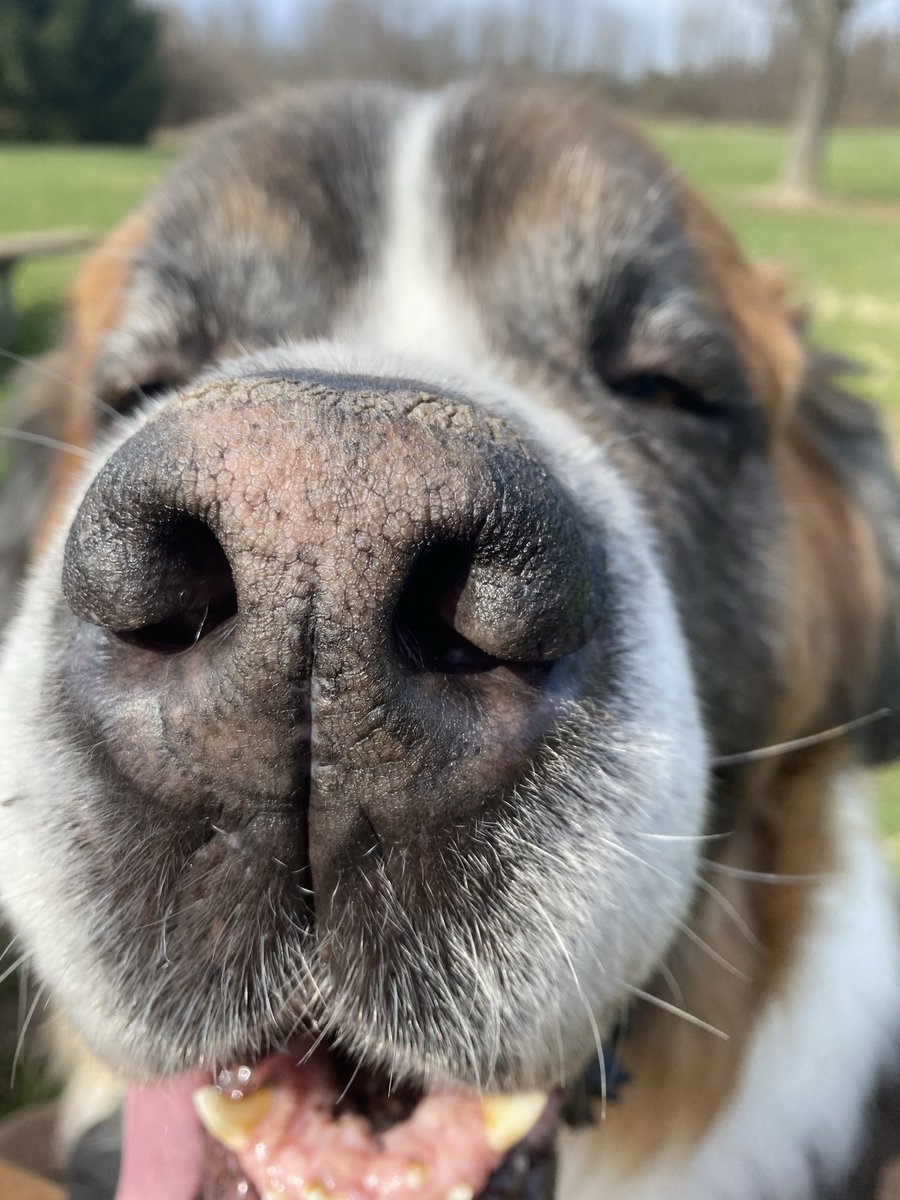 K & Archie, Alec, Declan & Saoirse tweet media