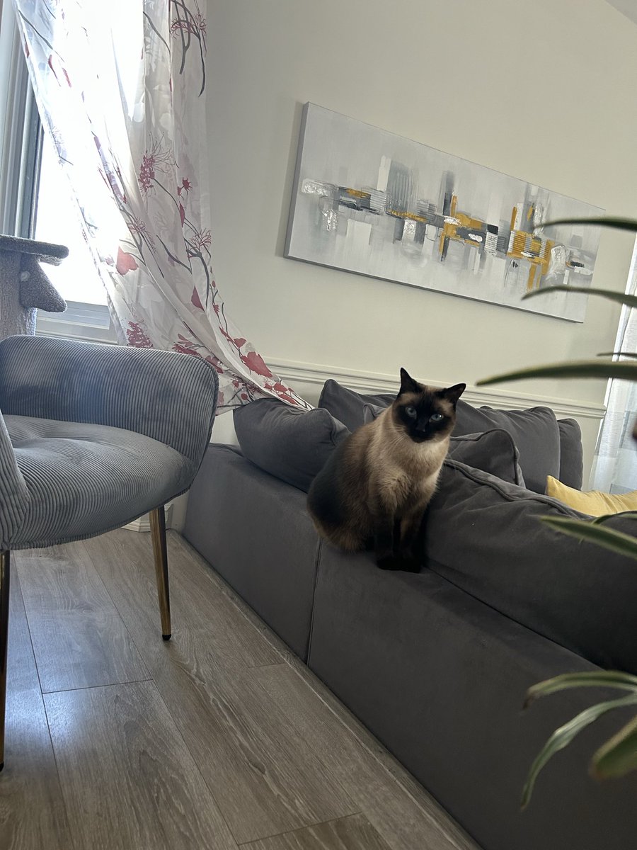 Locoman Lafleur ®️ tweet media