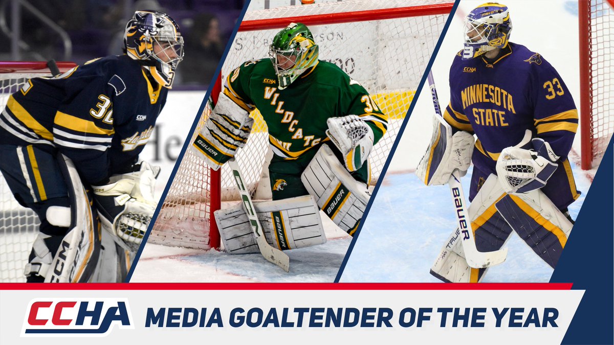 Tech Hockey Guide tweet media