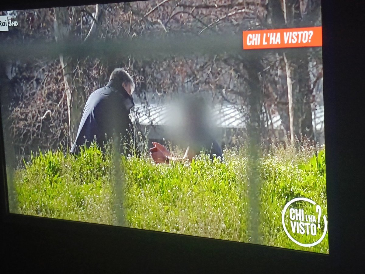 bercri72🇮🇹🐇🖤💙 tweet media