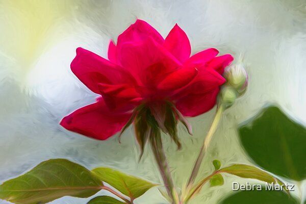 DebraMartz's tweet image. The Rose by Debra Martz
A knockout rose digitally enhanced from my original photograph.

#RBandMe #RedbubbleShop #FindYourThing
#GetItHere redbubble.com/shop/ap/178116…

#red #rose #love #flower #floral #photoart #buyintoart #wallart #homedecor #tees #tshirts #posters #print