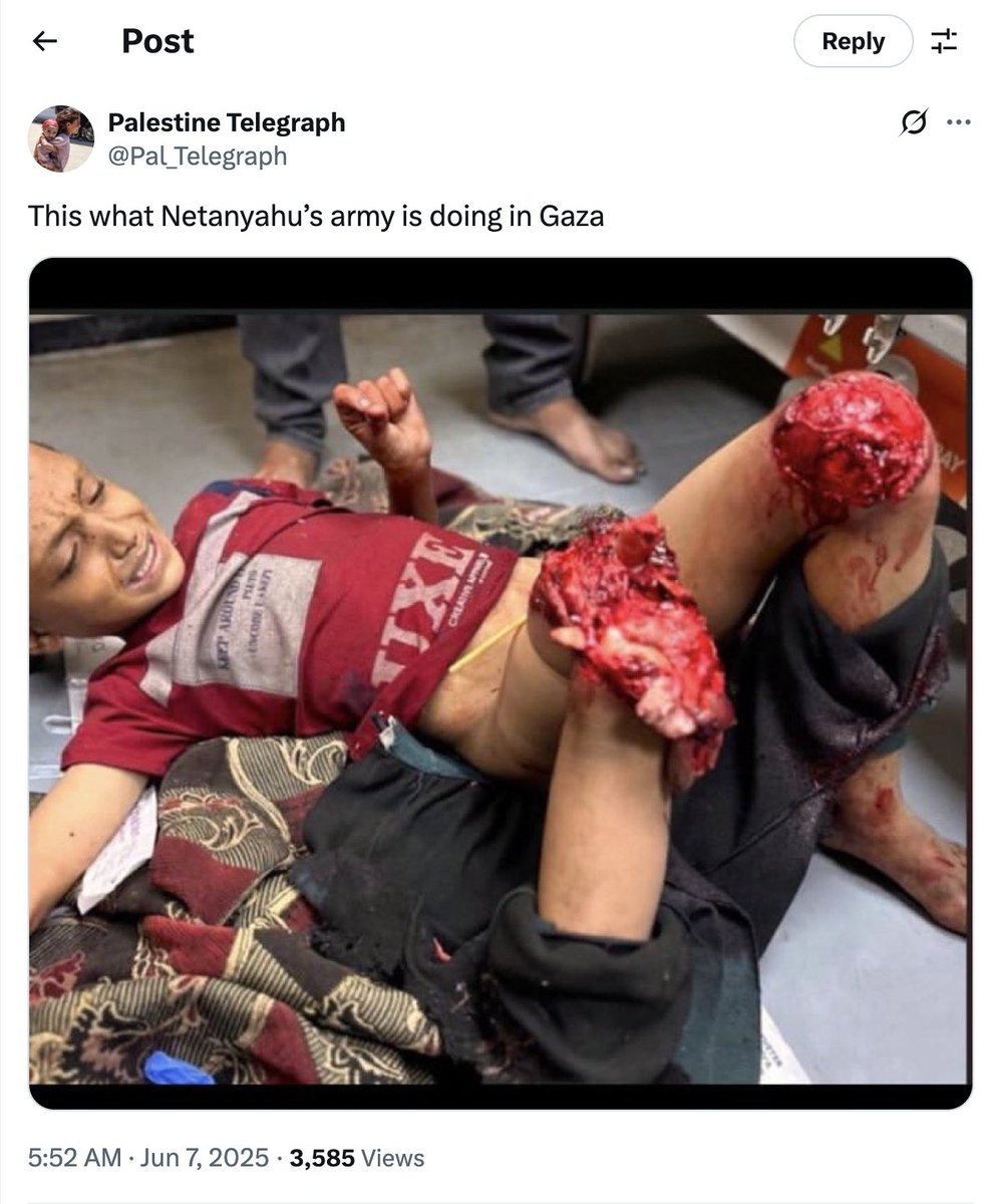 PetaByteGoneRogue tweet media