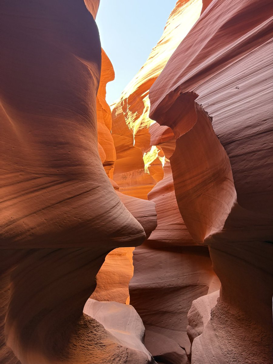 Max 💕🟫🟨🟨🟨🟨 tweet media