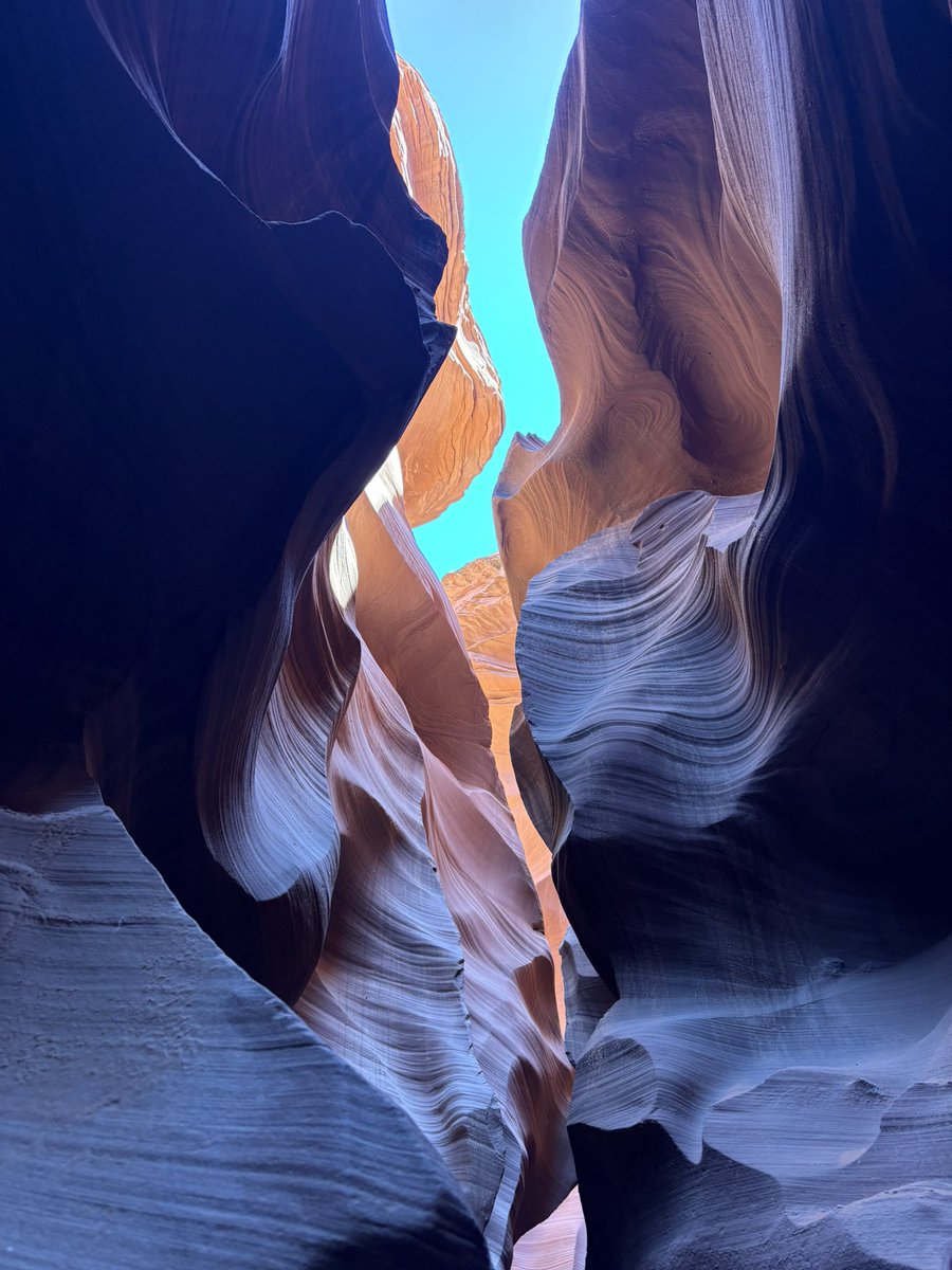 Max 💕🟫🟨🟨🟨🟨 tweet media