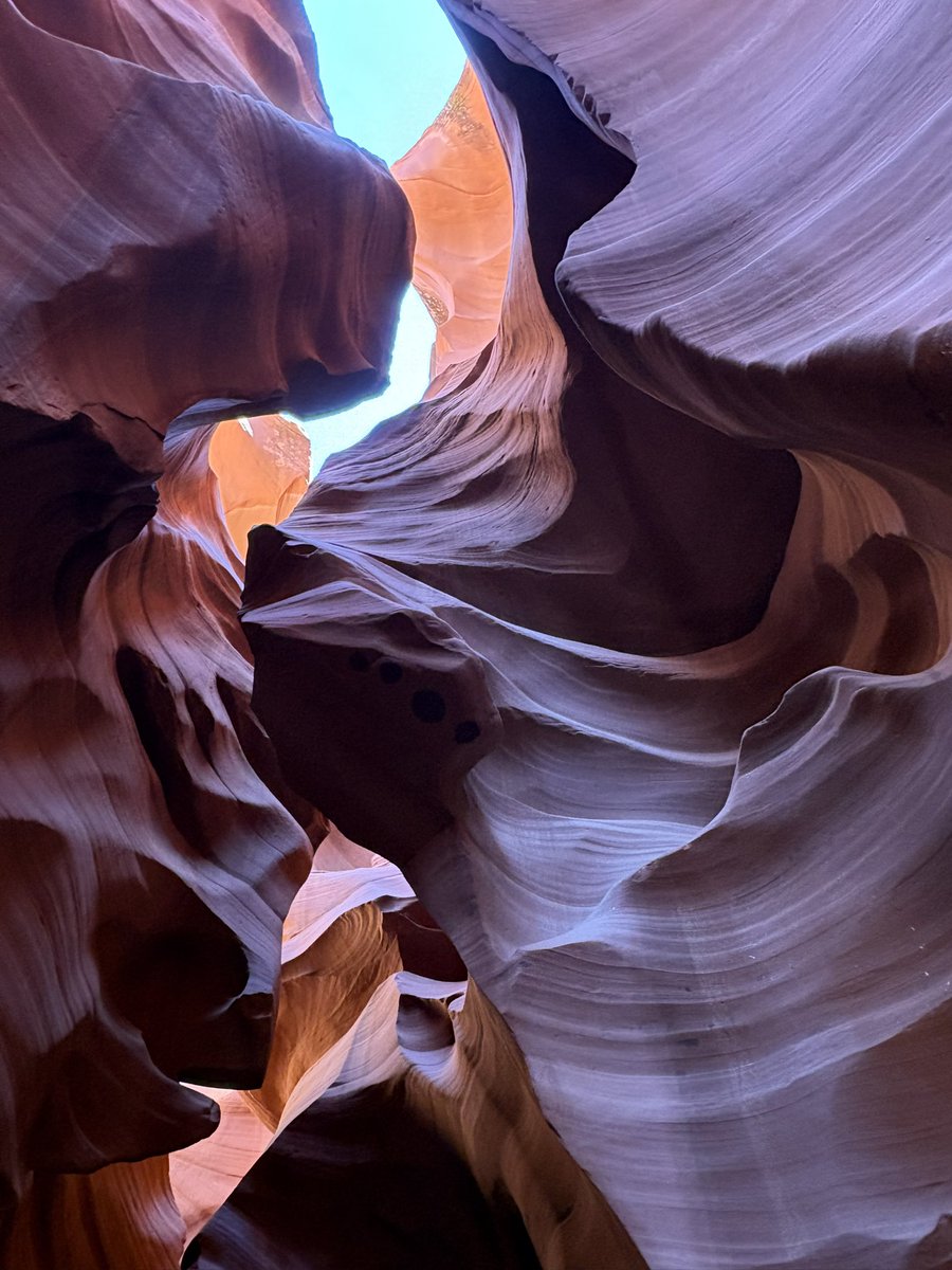 Max 💕🟫🟨🟨🟨🟨 tweet media