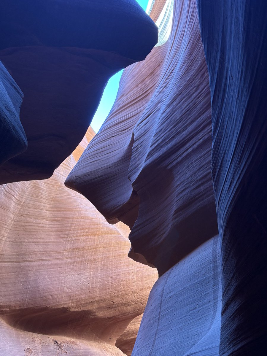 Max 💕🟫🟨🟨🟨🟨 tweet media