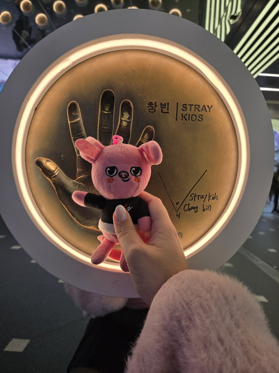 capi ~✧˖° ; viu SKZ 3x e vai ver de novo tweet media