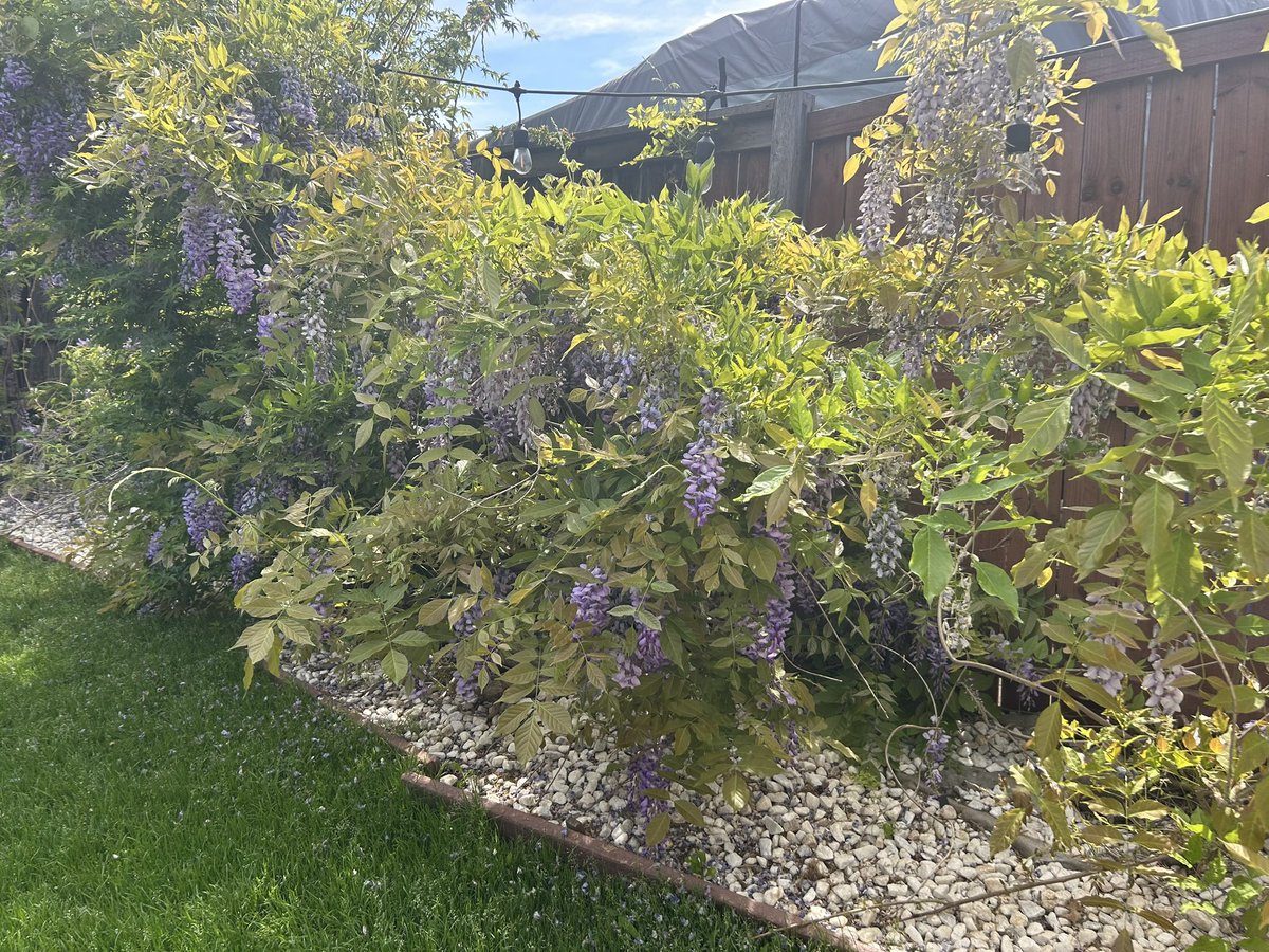 Ronald F. Owens, Jr. tweet media