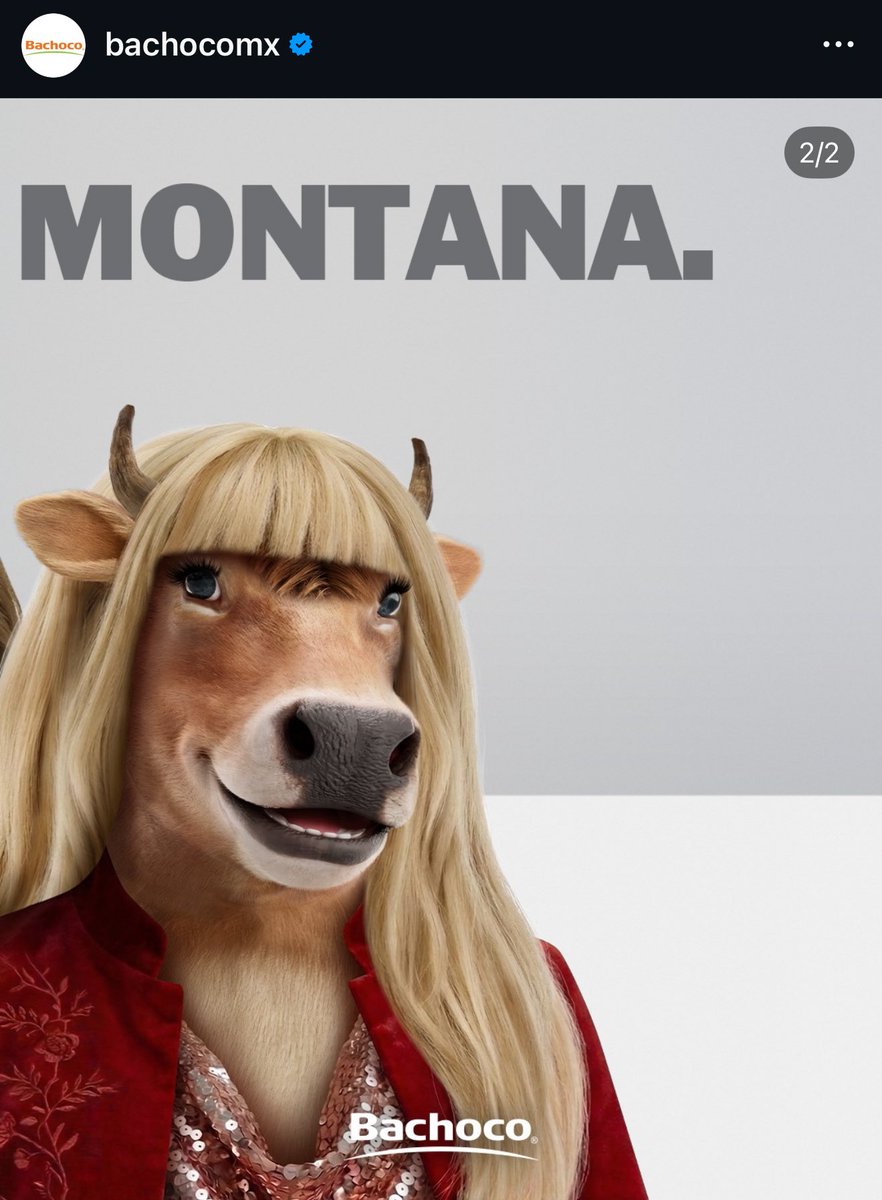 Meredith Gay 🛋️✨ tweet media