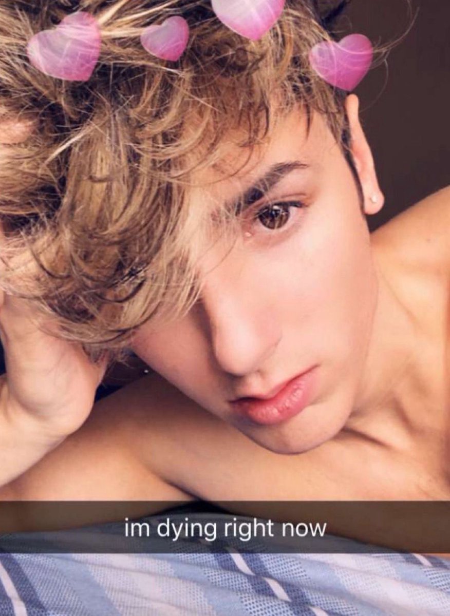 x - allie tweet media