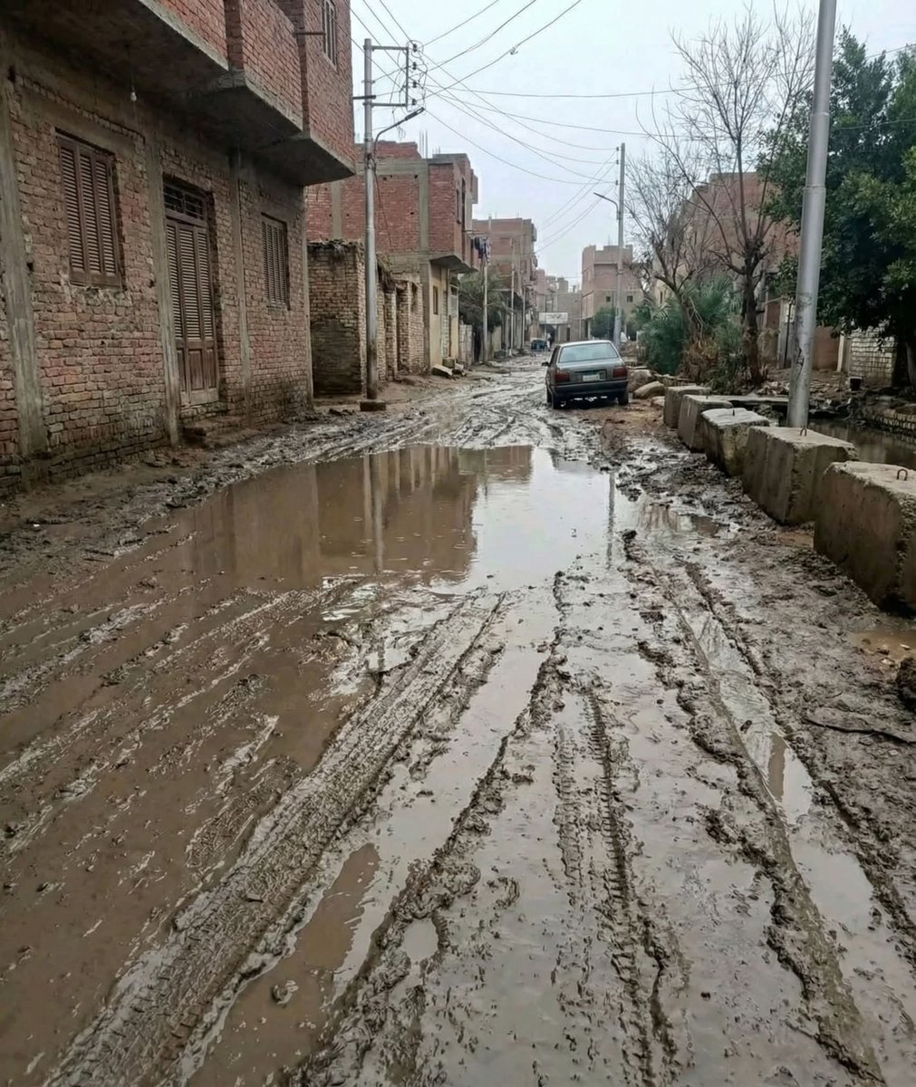 MOHAMED ABDELRAHMAN tweet media