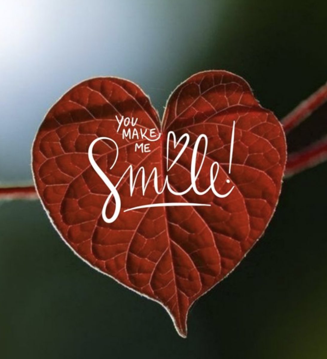 💜اناالطيَبة💜۶شُق tweet media