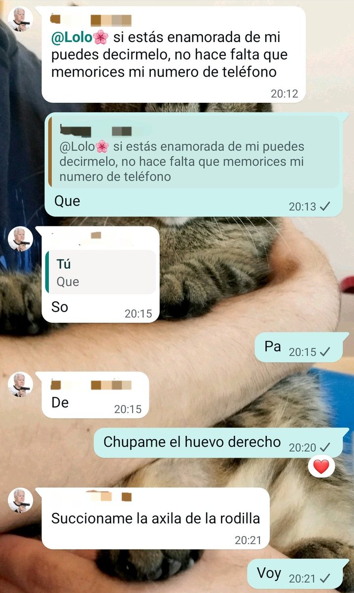 Lolo 🫧 kermit tweet media