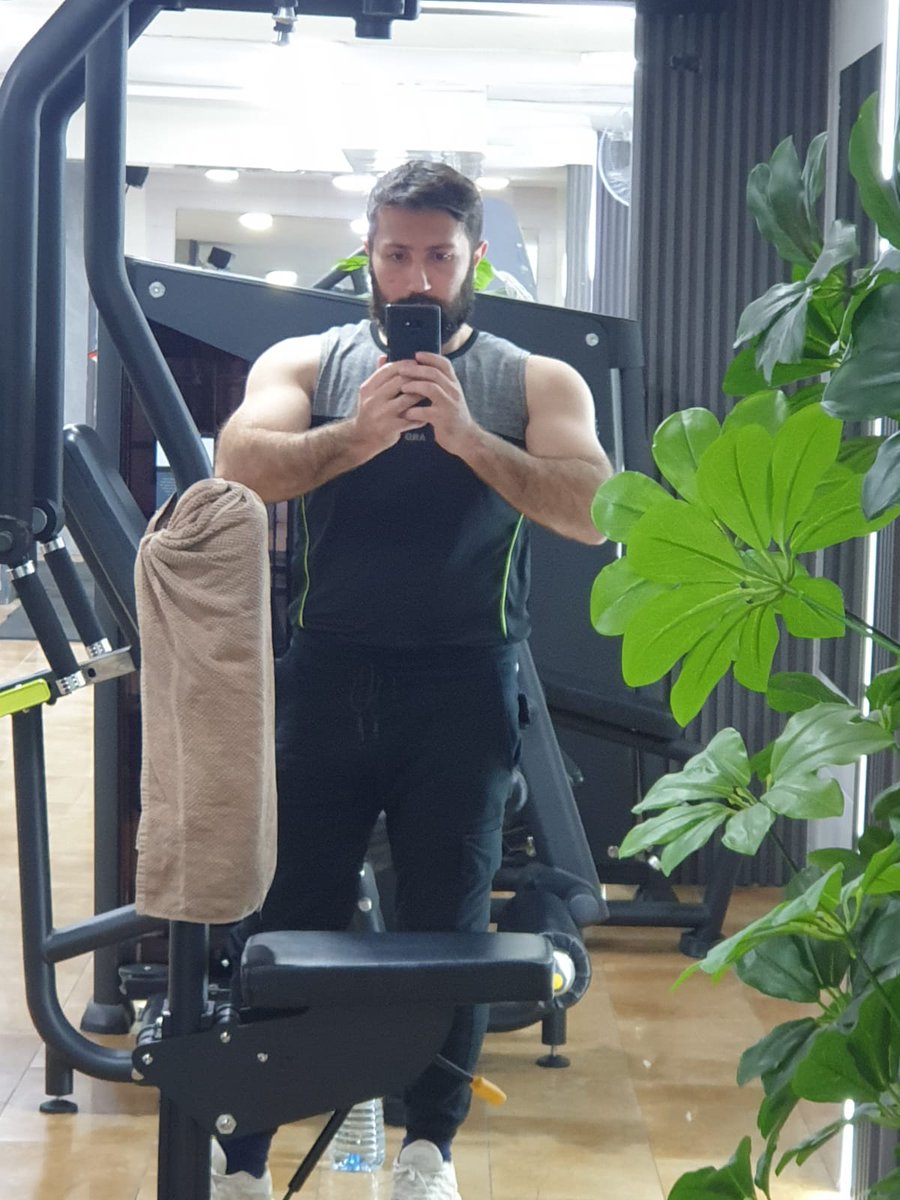 SquaredApe tweet media