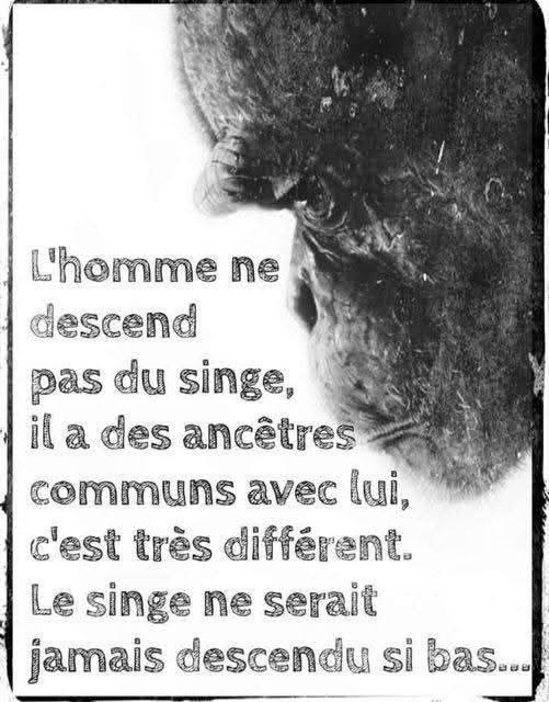 Adea Claude tweet media