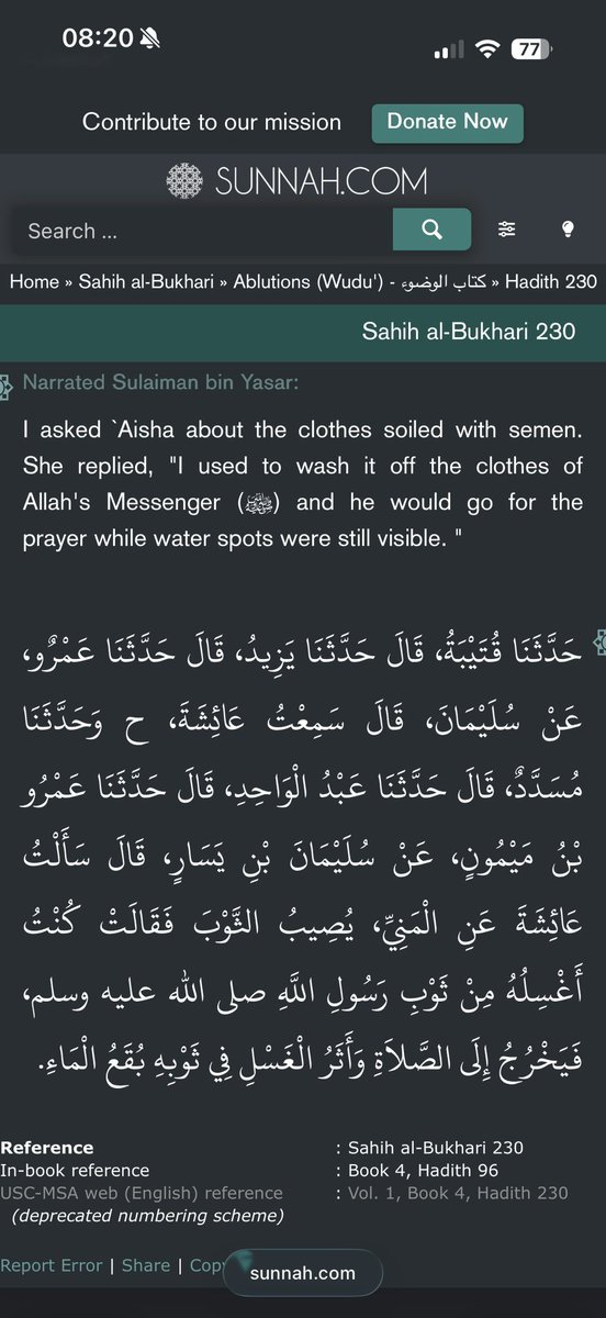 Synophridie Prophétique tweet media