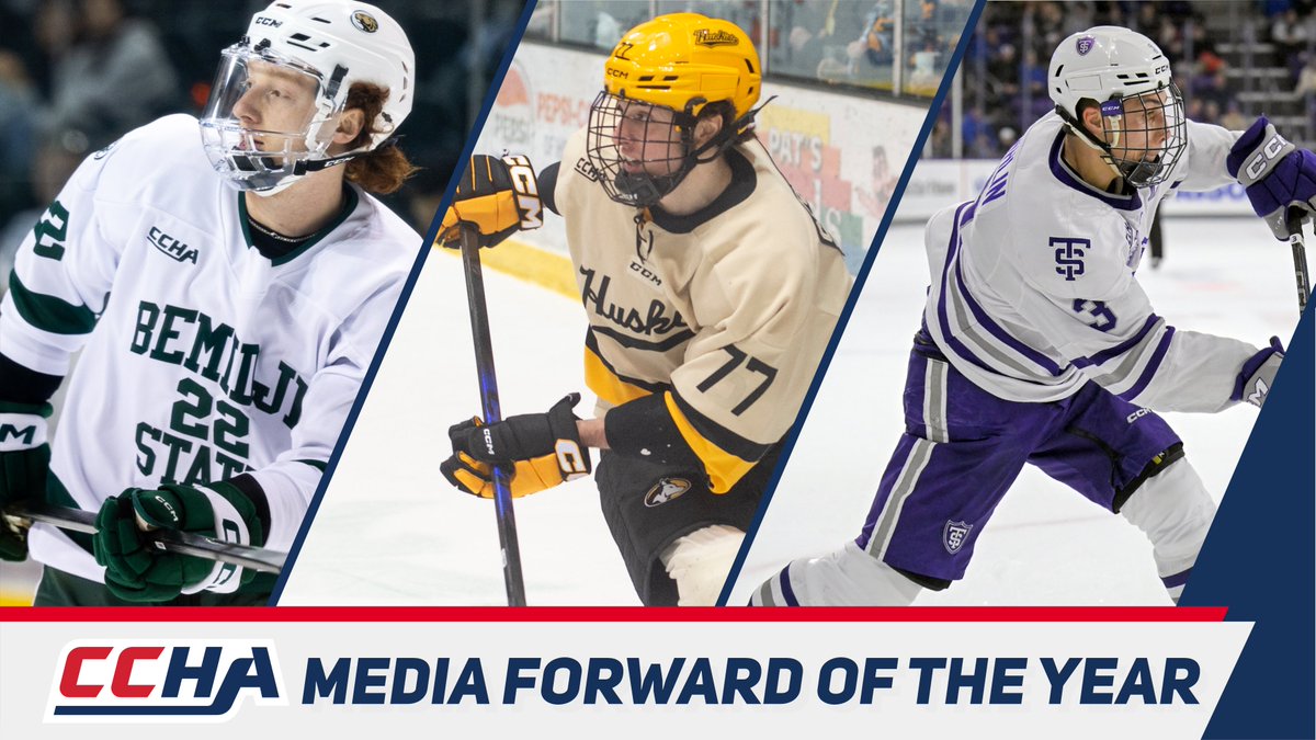 Tech Hockey Guide tweet media