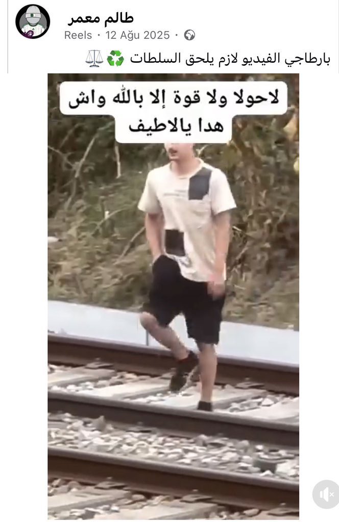 Havin Çavdar tweet media