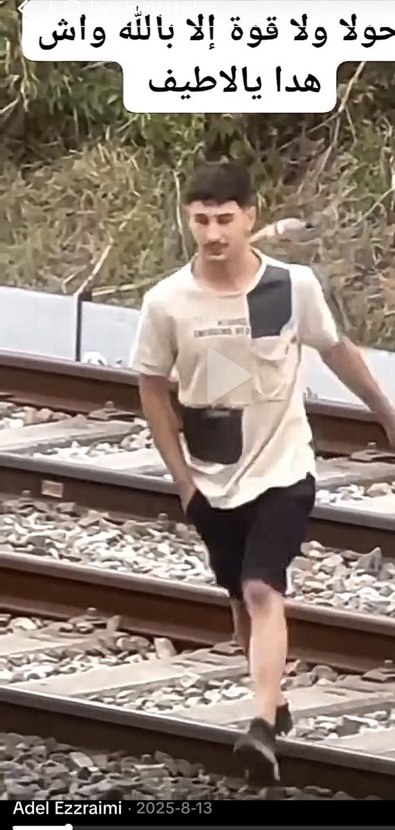 Havin Çavdar tweet media