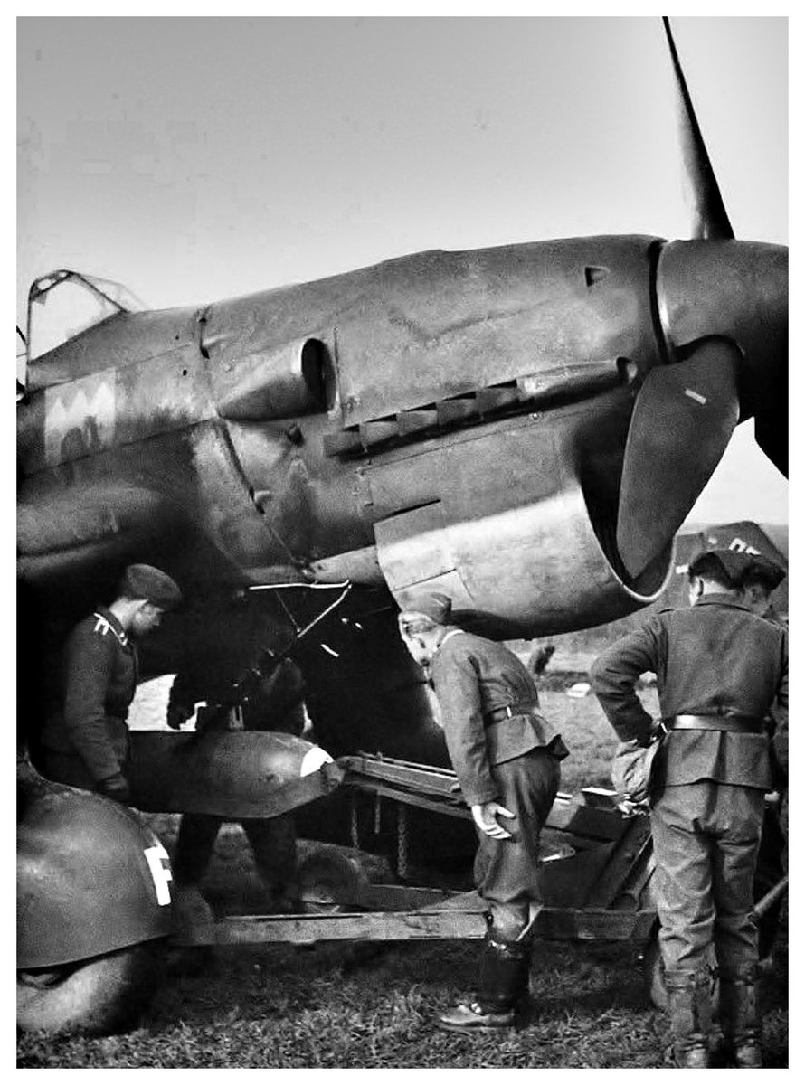 La Segunda Guerra Mundial AMFI tweet media