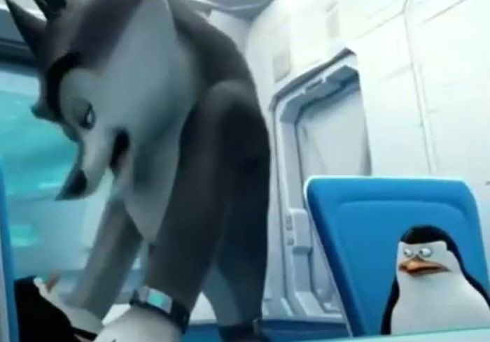 xime 🌐 tweet media