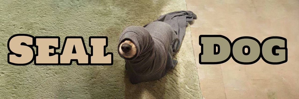 Sol Addic🪖 tweet media