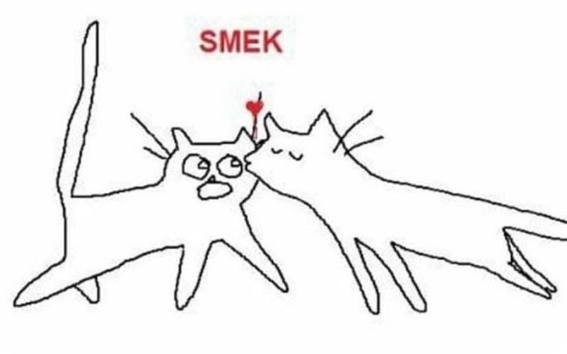 Lolo 🫧 kermit tweet media