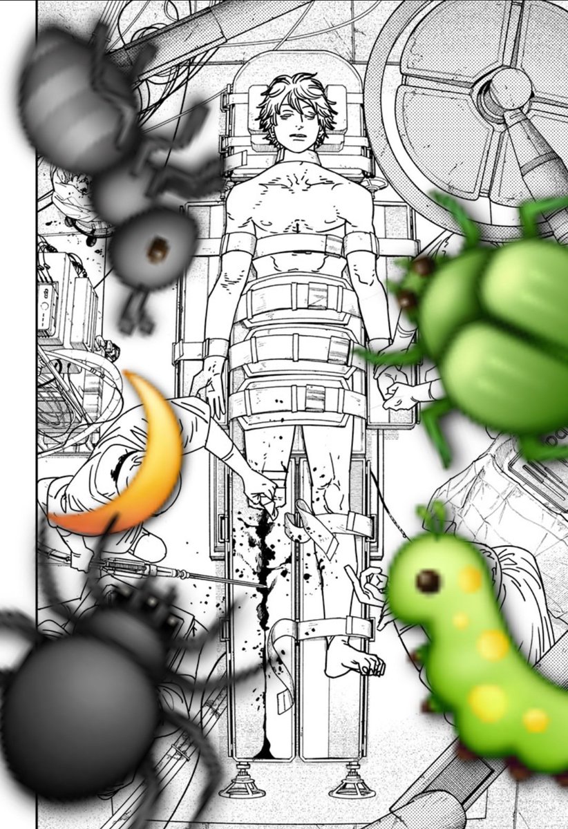 Sarah Salad tweet media