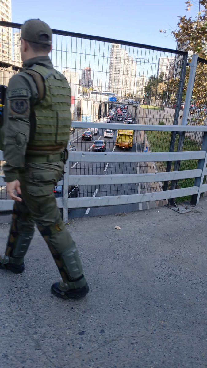 EL ZORRO 🇨🇱 & 🇮🇪 tweet media