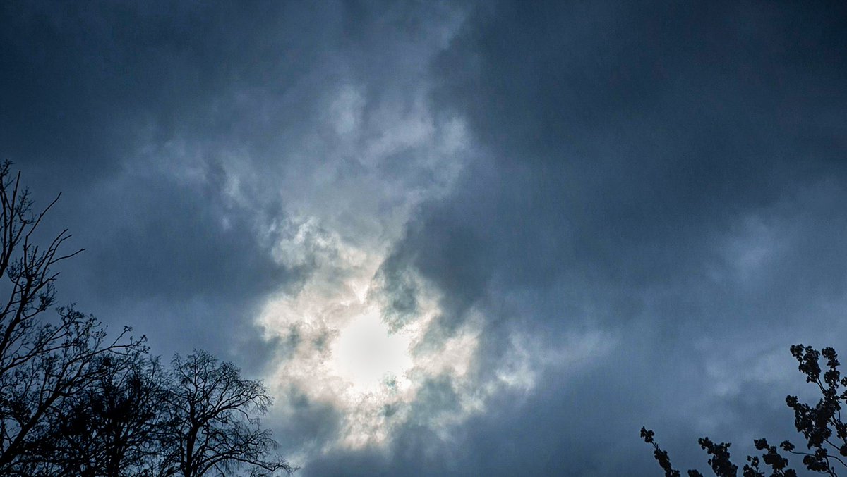 Hanna 🍉 tweet media