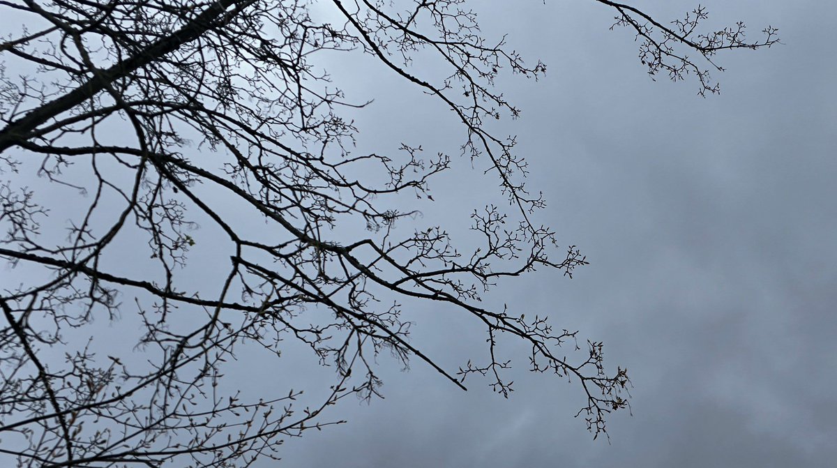 Hanna 🍉 tweet media