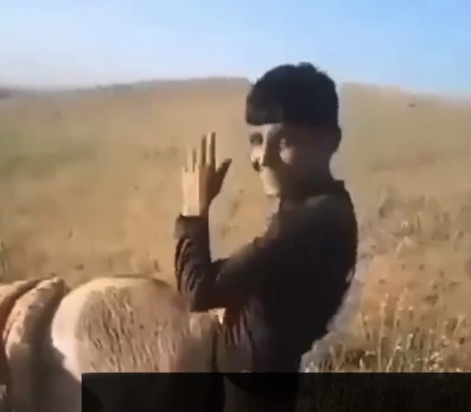 𝙇𝙪𝙣𝙞𝙨𝙤 🇹🇷 tweet media