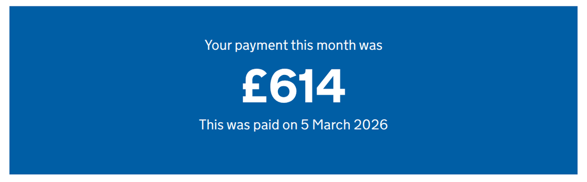 ash 🪿 tweet media