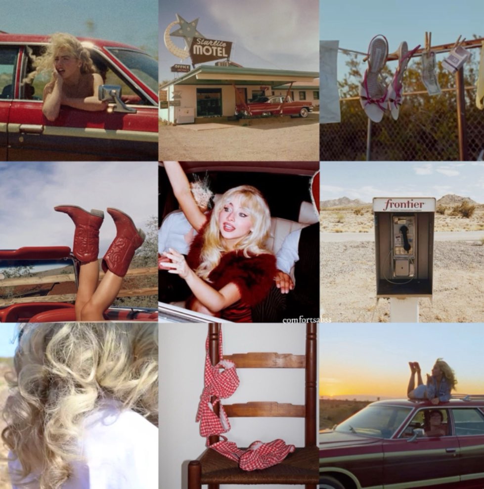 neve 🐾 tweet media