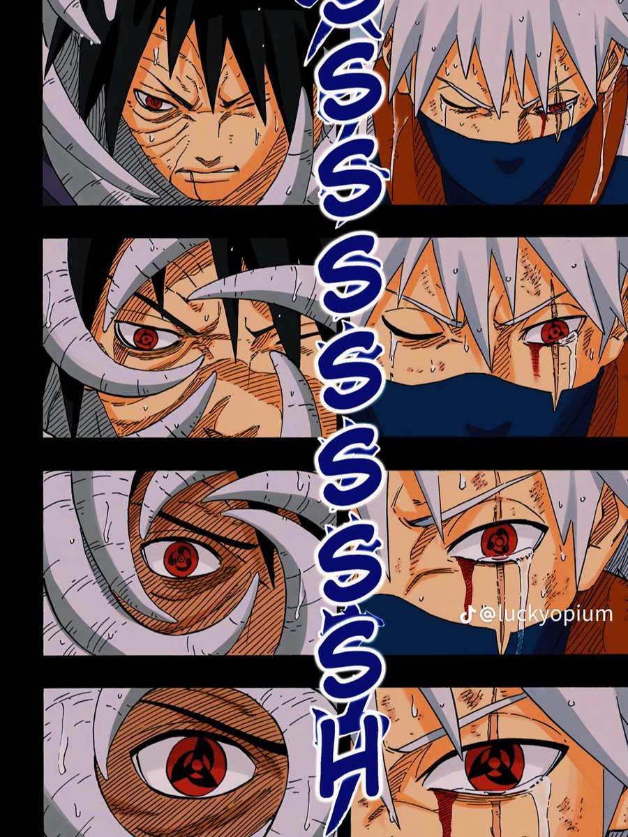 The B. | ブシュラ tweet media