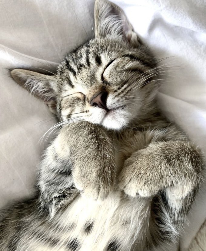 😈 PAT 66 👿 NO DM & LIST tweet media