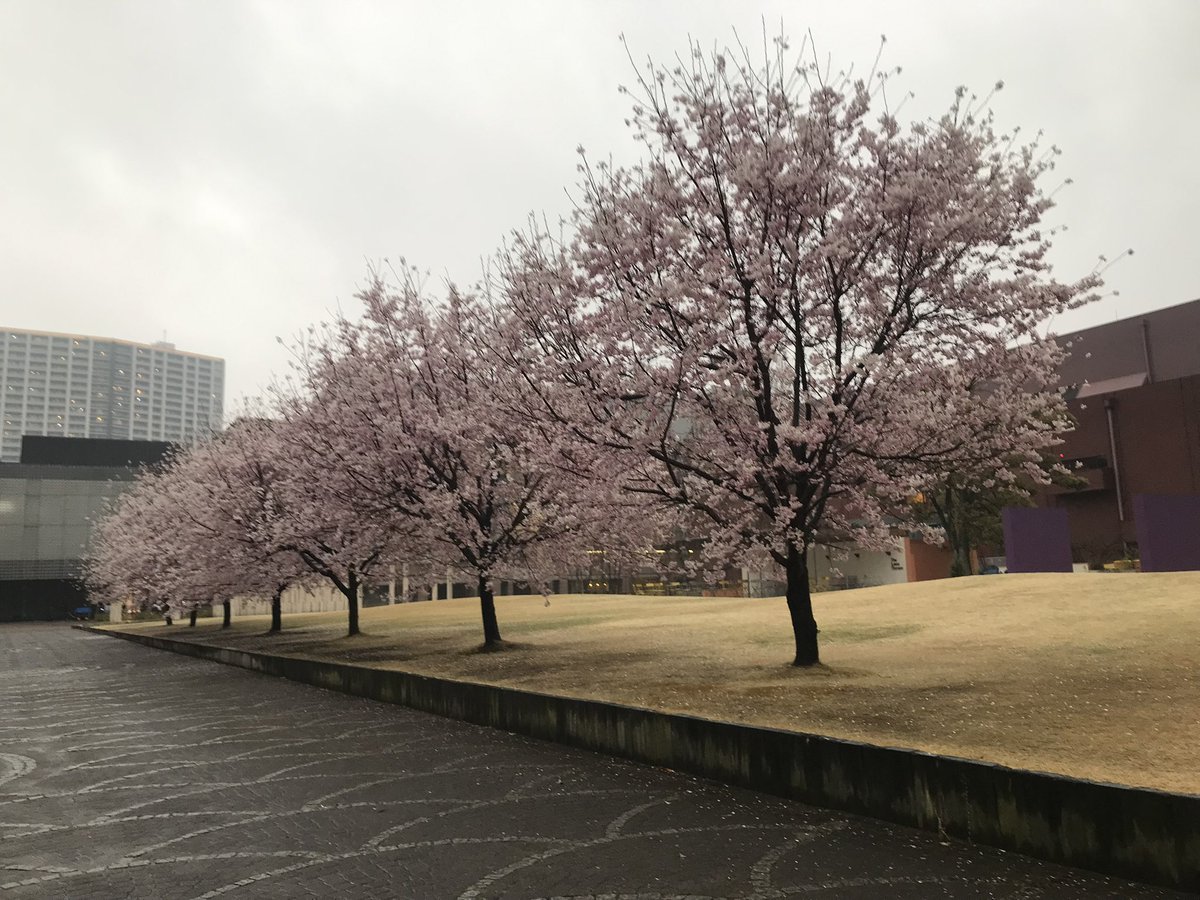 坪倉唯子 tweet media